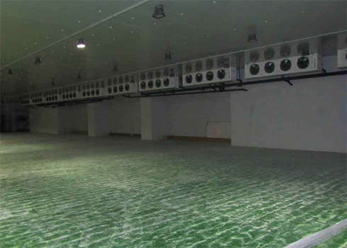 大型海鮮物流冷藏庫(kù)建設(shè)價(jià)格 大型海鮮物流冷藏庫(kù)建設(shè)價(jià)格