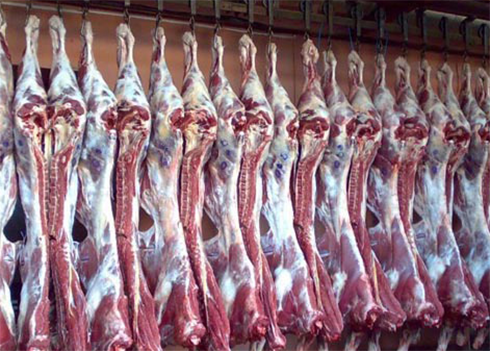 肉制品冷藏庫建造成本 肉制品冷藏庫建造成本