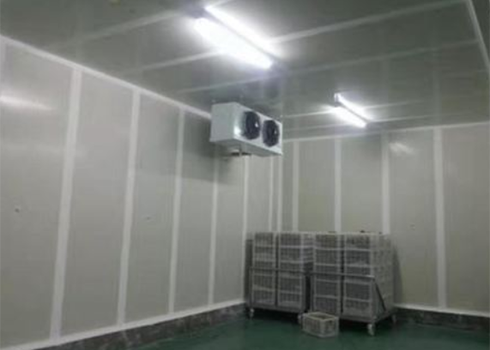冰袋低溫冷凍庫建造 冰袋低溫冷凍庫建造