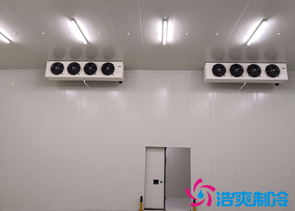 建造一個10000平方米生鮮冷庫冷鏈倉儲配送需要投資多少費(fèi)用？