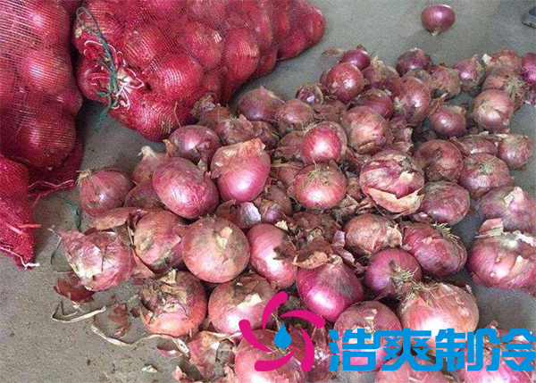 建造1000噸洋蔥保鮮冷庫安裝費(fèi)用是多少？