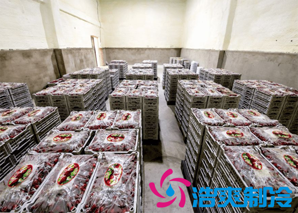 櫻桃氣調(diào)建造完成后有哪些儲存方法和步驟？_浩爽制冷