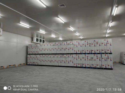 水果蔬菜冷庫建造對庫溫設(shè)計(jì)有何要求？_浩爽制冷