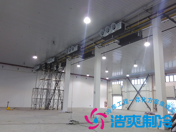 建造一個(gè)小型青果檳榔保鮮冷庫(kù)造價(jià)多少錢(qián)？可以存儲(chǔ)多長(zhǎng)時(shí)間？