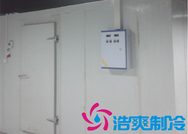 安裝一個(gè)冷藏庫(kù)造價(jià)大約多少錢一平方？_浩爽制冷