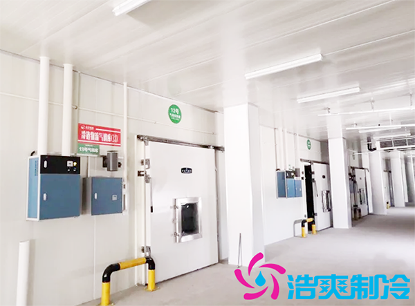 建造600m3農(nóng)產(chǎn)品冷藏保鮮庫多少錢？如何計(jì)算冷庫制冷量_浩爽制冷