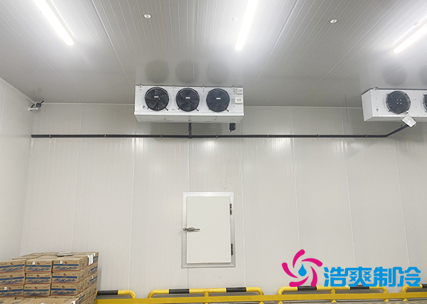 建一個水果催熟庫安裝價格大概多少錢？-浩爽制冷