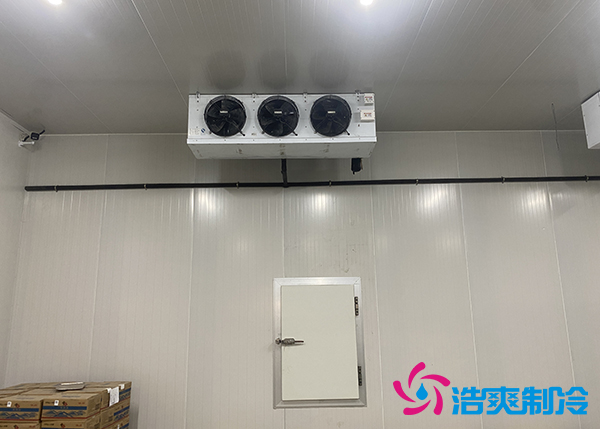 生鮮蔬菜市場冷庫應(yīng)該建多大？-浩爽制冷