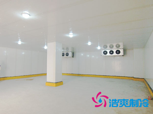 50噸果蔬氣調(diào)庫預(yù)算造價(jià)多少錢？-浩爽制冷