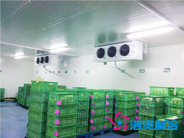 茶葉冷庫設(shè)置多少溫度合適？-浩爽制冷