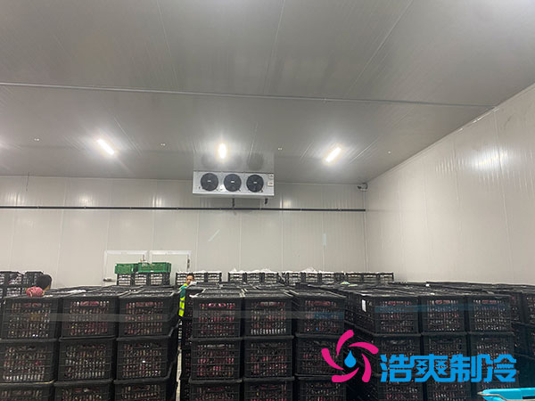 嘉定雞蛋冷庫安裝建造多少錢？-浩爽制冷