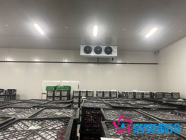 嘉定雞蛋冷庫安裝建造多少錢？-浩爽制冷