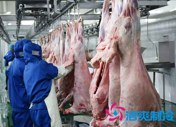 排酸冷庫安裝價錢多少錢？-浩爽制冷