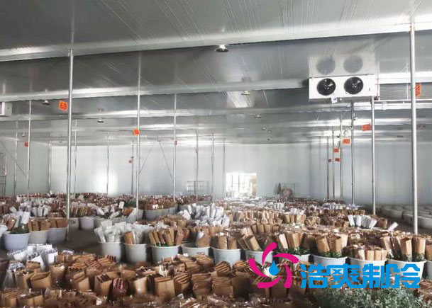 鮮花冷庫安裝報價明細(xì)表清單,不同規(guī)格鮮花冷庫造價表-浩爽制冷 鮮花冷庫安裝報價明細(xì)表清單,不同規(guī)格鮮花冷庫造價表-浩爽制冷