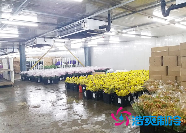 做個鮮花冷庫要多少錢？-浩爽制冷