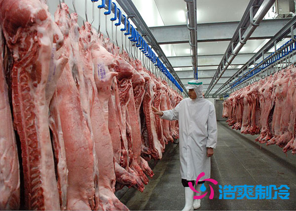 肉類(lèi)速凍庫(kù)建造多大合適？-浩爽制冷