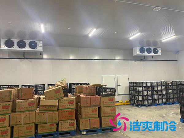 衡陽大型水果冷庫造價多少錢一平方？-浩爽制冷