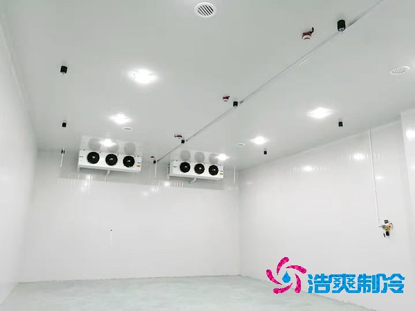 冷庫造價(jià)揭秘：300平方米到底要花多少錢？-浩爽制冷