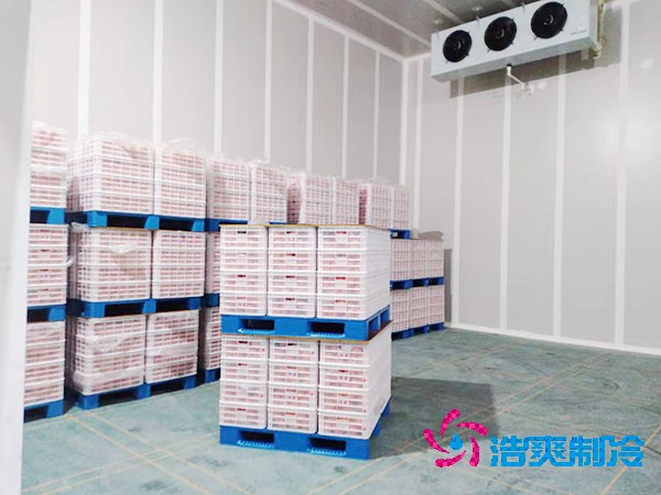 西瓜保鮮冷庫建造價格