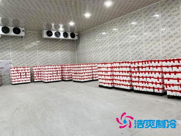 芭樂果保鮮冷庫安裝造價多少錢？芭樂果在冷庫能放多久？-浩爽制冷