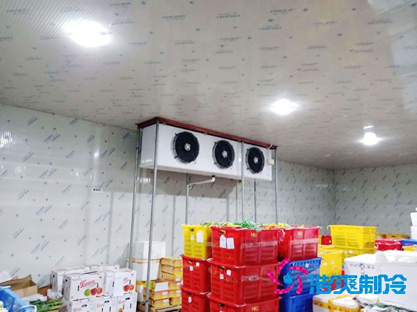 建一個(gè)蔬菜冷庫造價(jià)需要多少錢？-浩爽制冷